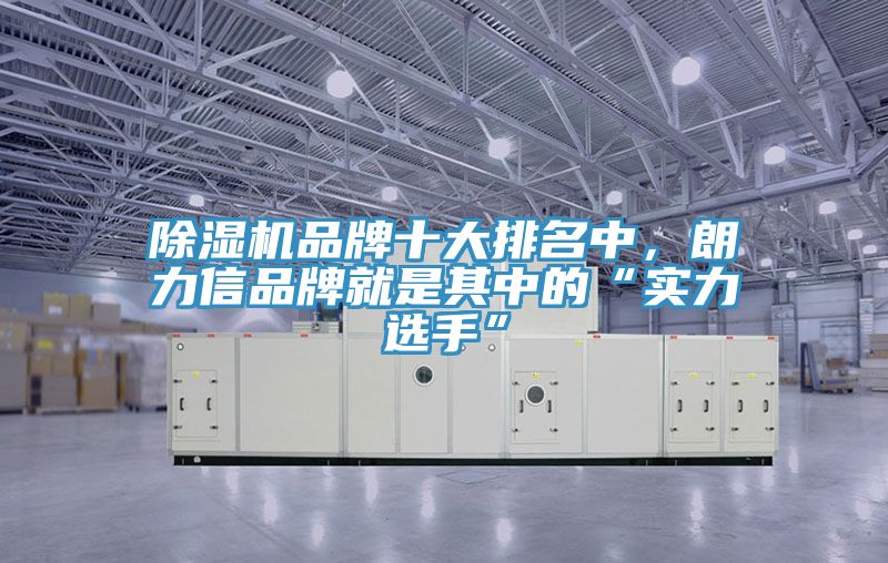 除濕機(jī)品牌十大排名中,朗力信品牌就是其中的“實(shí)力選手”