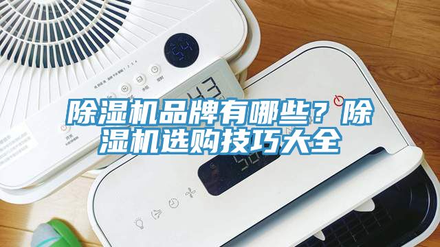 除濕機品牌有哪些？除濕機選購技巧大全