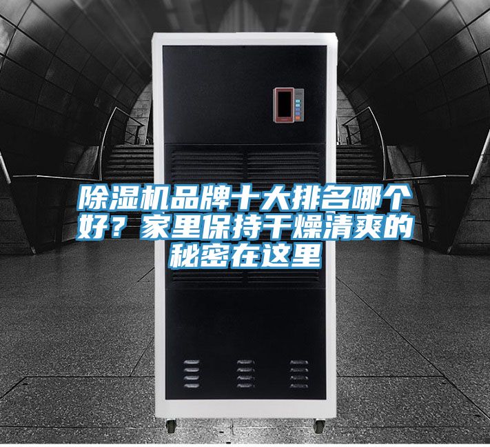 除濕機(jī)品牌十大排名哪個(gè)好?家里保持干燥清爽的秘密在這里