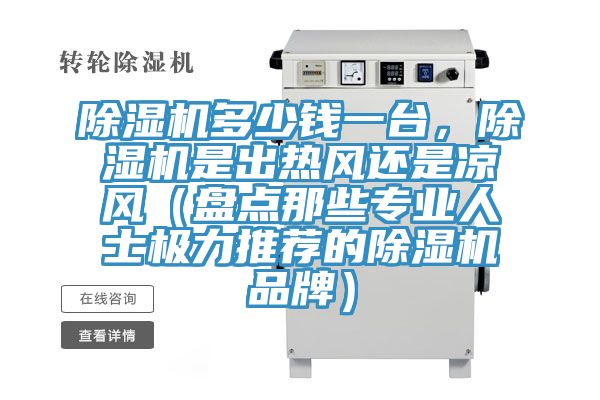 除濕機多少錢一臺,除濕機是出熱風還是涼風(盤點那些專業人士極力推薦的除濕機品牌)