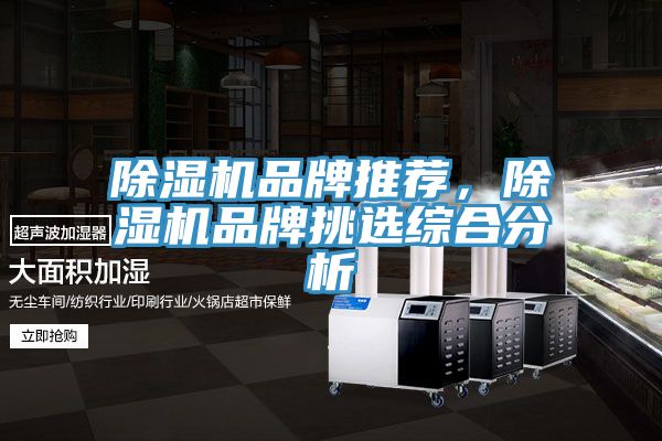除濕機品牌推薦，除濕機品牌挑選綜合分析
