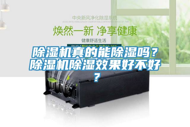 除濕機真的能除濕嗎？除濕機除濕效果好不好？