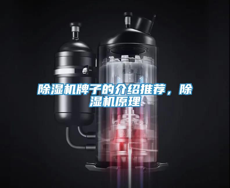 除濕機牌子的介紹推薦,除濕機原理