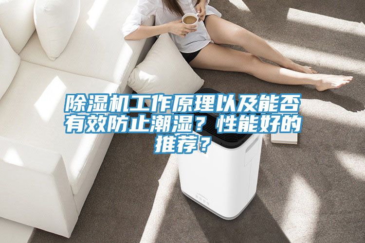 除濕機(jī)工作原理以及能否有效防止潮濕？性能好的推薦？