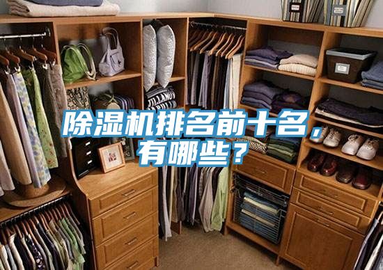 除濕機(jī)排名前十名，有哪些？