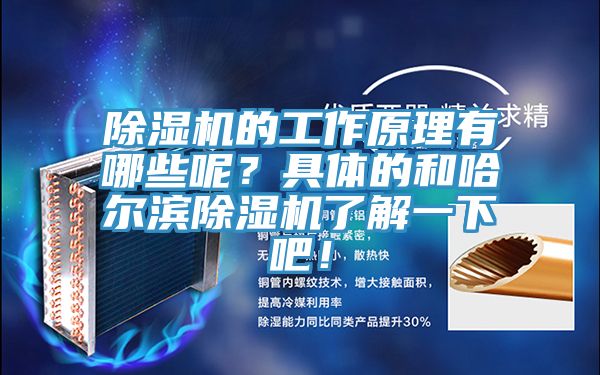 除濕機的工作原理有哪些呢？具體的和哈爾濱除濕機了解一下吧！
