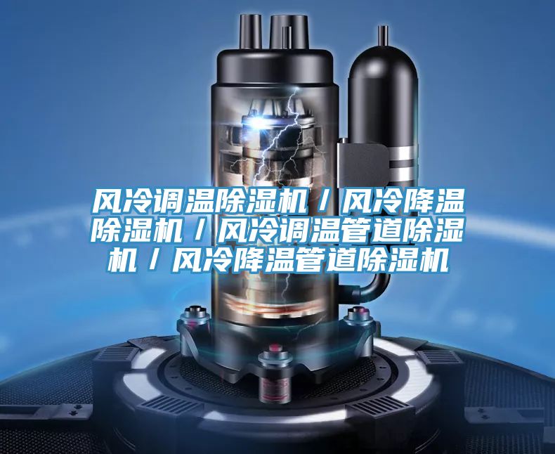 風冷調溫除濕機/風冷降溫除濕機/風冷調溫管道除濕機/風冷降溫管道除濕機