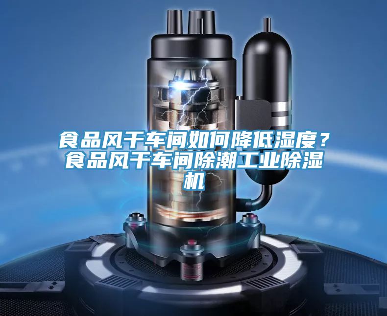 食品風干車間如何降低濕度？食品風干車間除潮工業除濕機