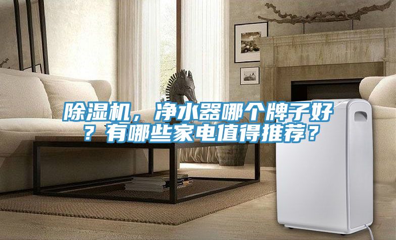 除濕機，凈水器哪個牌子好？有哪些家電值得推薦？