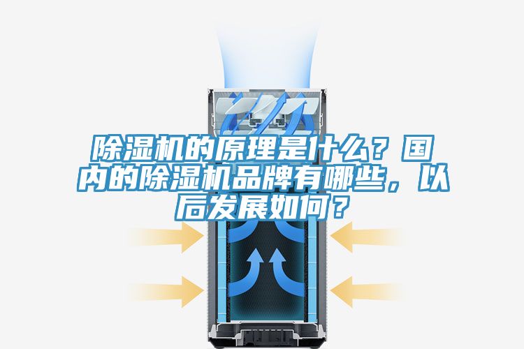 除濕機的原理是什么？國內的除濕機品牌有哪些，以后發展如何？