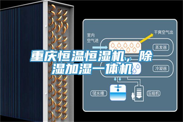 重慶恒溫恒濕機(jī),除濕加濕一體機(jī)
