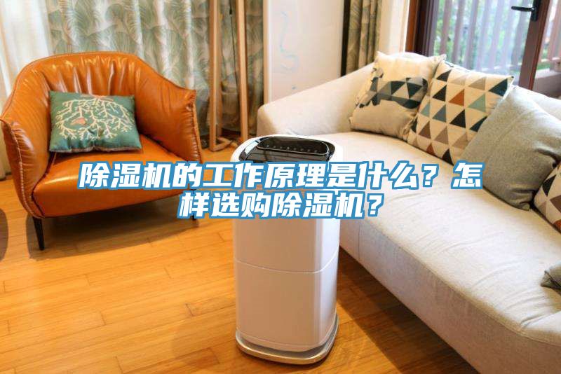 除濕機的工作原理是什么？怎樣選購除濕機？